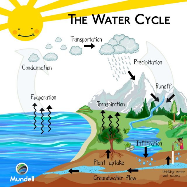 Learning at Home #2: The Water Cycle – MCWEC